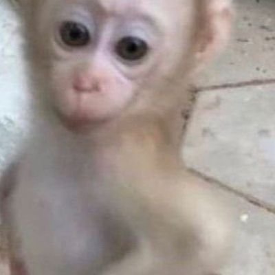 @5lzSej1HMC