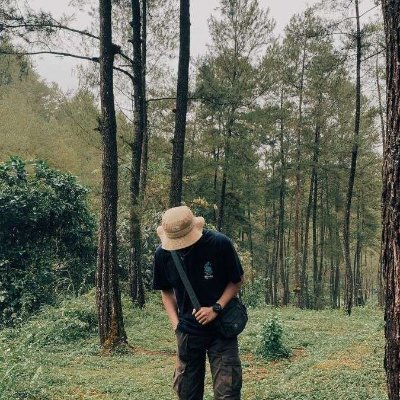 FaizallAditt's profile picture. green day