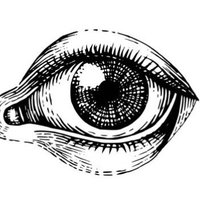 🫒ever//seen 🫒 looking for artmoots 🫒 (@everseenart) 's Twitter Profile