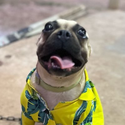 Mithouna2016's profile picture. I like technology