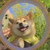 higioo _ (@higioohpy) Twitter profile photo higioo _ (@higioohpy) Twitter profile photo
