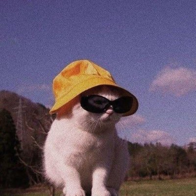 dynonafa's profile picture. Tempat sambat gua