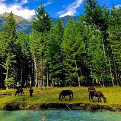 We show you the paradise on earth: Kumrat Valley, Jehaz Banda and other awesome tourist spots in Dir and KP |Tourism Promoter| Tourism Booster|