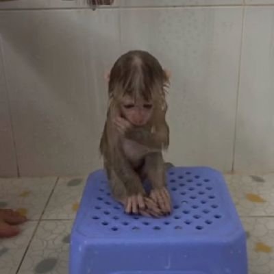 korkusuzalfa611's profile picture. DUSMANIM COGALDI OLDUM SIZOFREN YANIMDAKI SARISIN ONA DA GUVENMEM