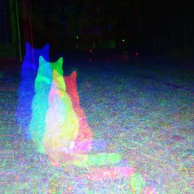 lettagon's profile picture. 