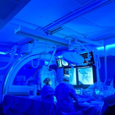 Interventional Neurologist. MD. PhD. @HospitalUVRocio @ibis_sevilla. Fortuna audaces juvat.