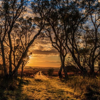SteveMc18996095's profile picture. Living and loving life in Australia, this golden land, blessed in so many ways.
Good luck and God bless to Israel in this conflict against Iran.