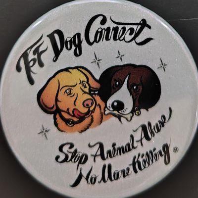 ff_dog_connet's profile picture. 『犬の命を繋ぎ、犬と人の縁を繋ぎ、人と人の縁を繋ぎたい』という信念のもと、静岡県で保護活動中
【ブログ】https://t.co/qkVbrS4qRU【インスタ】https://t.co/Uz7zPZbnUm
DMは受け付けていません