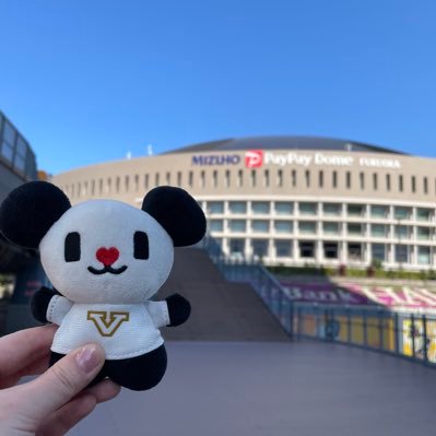 ゴーちゃん。 (@gochan_V) / X