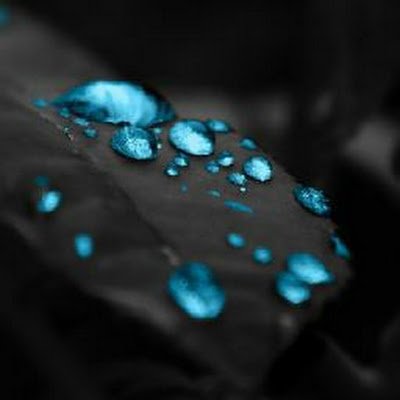 FelconRed3897's profile picture. 