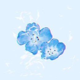 こ ぃ け ｡さんのプロフィール画像