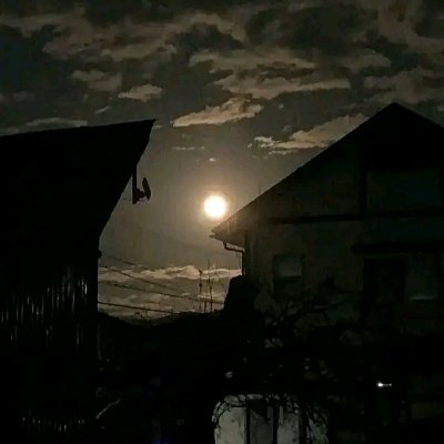 Ccc15677's profile picture. 