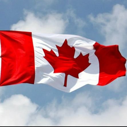 larabankkks's profile picture. 