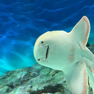 Free_FS630's profile picture. 漫画がひたすらに大好き、日々の漫画記録的ななにか