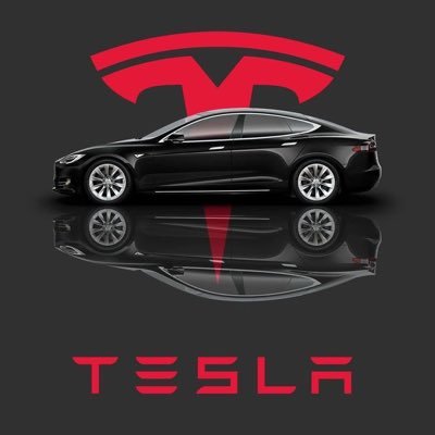 Txl1236198's profile picture. DEDICATED