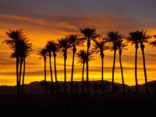 roombaba's profile picture. 