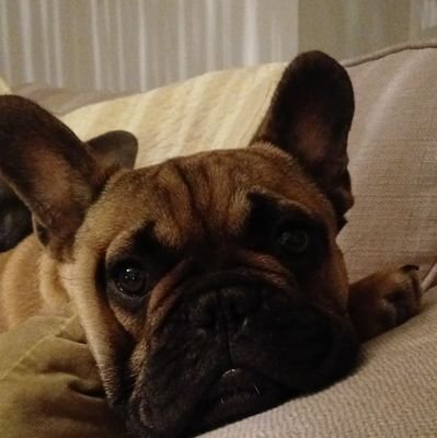 madmoizelPapote's profile picture. Ici juste de passage