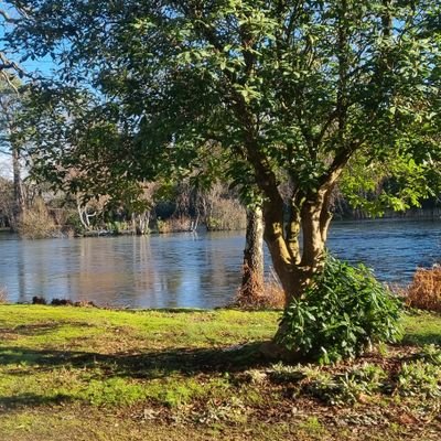 deezysjrd's profile picture. 