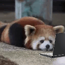 offtkp's profile picture. 