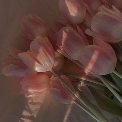 Mari_annina's profile picture. Sicilian girl 

25

virgo