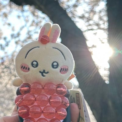 🌿동식물 쓰다듬기 연구회 회원🌿신천지 꺼져ㅗ/사이비 절대 안받음/편하게 멘션주세요 이별은 블언블/가끔 뉴스나 신기한글도 알티도해요/ https://t.co/d5U7oNXnrX 🌿https://t.co/JSPwFkCS8l
