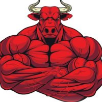 Toretto5441 (@toretto415434) 's Twitter Profile