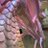 PikoPiko_jp's profile image