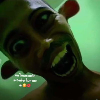 panisaray264865's profile picture. 