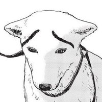 박박 (@bakbak313) 's Twitter Profile Photo 박박 (@bakbak313) 's Twitter Profile Photo