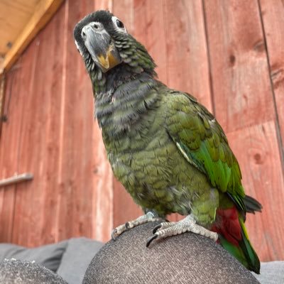 AnnelieJoh62447's profile picture. 