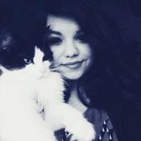 locution777 (@locution7765716) 's Twitter Profile