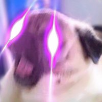 ninjaqwe_ (@ninjaqwe_) 's Twitter Profile Photo ninjaqwe_ (@ninjaqwe_) 's Twitter Profile Photo
