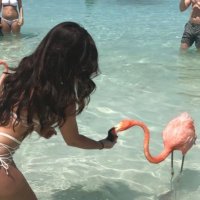 ـ (@maaybeana) Twitter profile photo