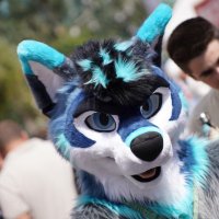 Phantom (@phantom_wuff) 's Twitter Profile