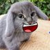 Cabbit Of Crungus (@cabbitofcrungus) Twitter profile photo Cabbit Of Crungus (@cabbitofcrungus) Twitter profile photo