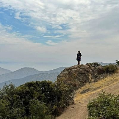 En el infinito crepúsculo, el robusto pino se mantiene firme en medio de las nubes arremolinadas, se mantiene la calma y la compostura.