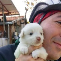 🇹🇷 Soner Koca (@soner_koca) 's Twitter Profile Photo 🇹🇷 Soner Koca (@soner_koca) 's Twitter Profile Photo