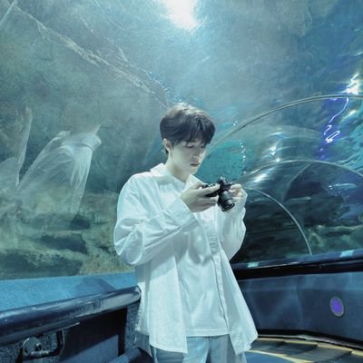 ᙏ̤̫͚ ˗ˋˏ DP ♡ ˎˊ˗ 𓄹 . ִ ֗ 🐠🌟さんのプロフィール画像