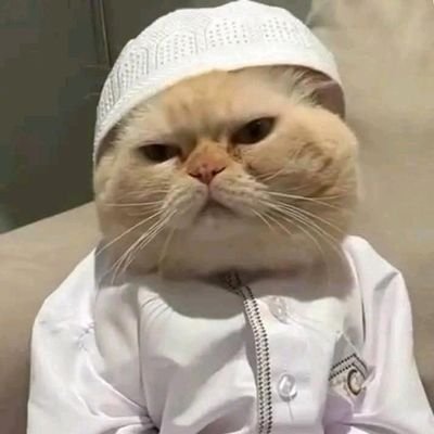 If you follow me i will follow u dm for follow back