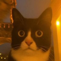 نهشل ☕️❤️ (@therealmo630) 's Twitter Profile Photo