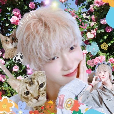 twantythreeさんのプロフィール画像
