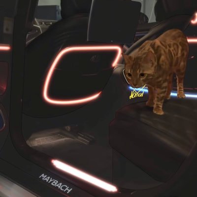 Etook0's profile picture. ready ?