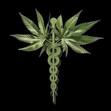Pioneering agricultural initiative dedicated to cultivating premium, organic cannabis for health and wellness.