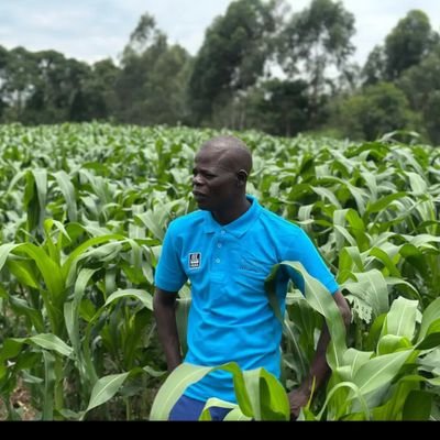 Advertising and marketing agency @Yara East Africa.
Champion Maize 🌽 farmer kakamega County2023. OGW national World food. Yara Digital Shujaaz.