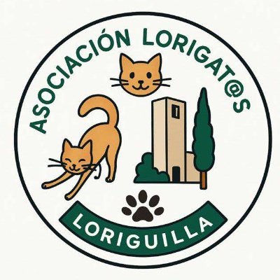 Asociación sin animo de lucro encargados del bienestar de los gatos de Loriguilla. Nuestros gatitos buscan hogar y una familia, si estás interesad@ contáctanos!