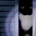 meow (@lk76353770) Twitter profile photo meow (@lk76353770) Twitter profile photo
