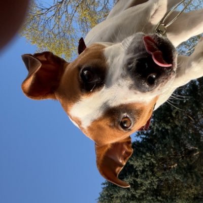I heard Elon’s gonna make some changes to Twitter, so I’m here to check it out. //Update -it ain’t even Twitter no more y’all