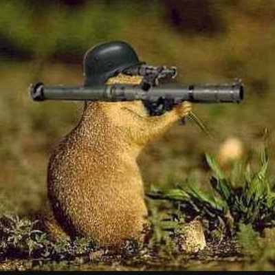 @CD_Behr