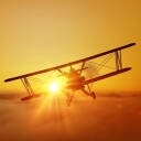 buvik77's profile picture. 