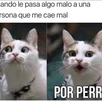 cdsantos89's profile picture. 